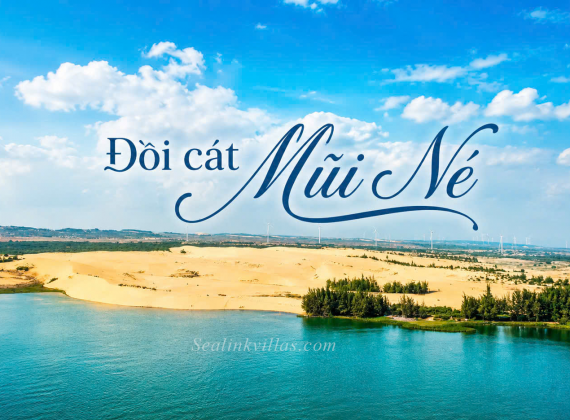 Đồi Cát Mũi Né – Kinh Nghiệm Du Lịch, Check-in & Lưu Trú