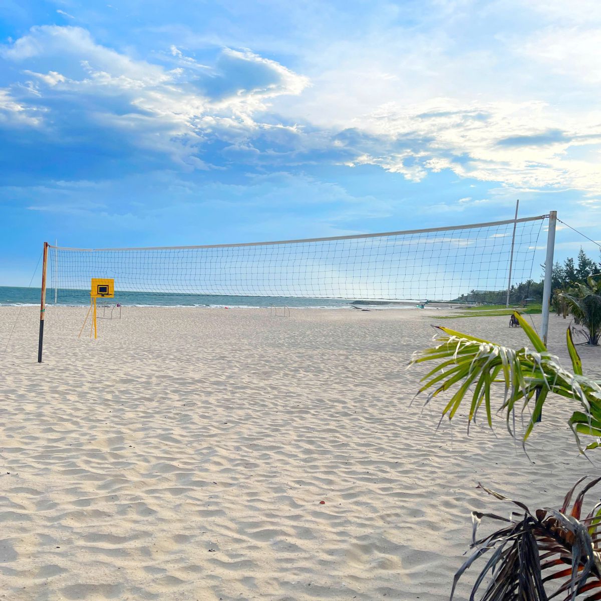 Vào những tháng mưa gió, đôi khi xuất hiện sứa, khiến việc tắm biển không còn lý tưởng như mong đợi